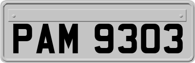 PAM9303