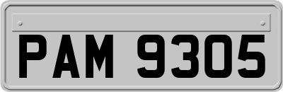 PAM9305