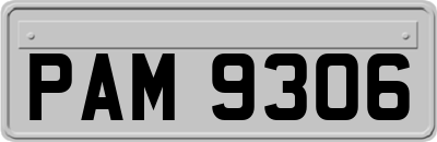 PAM9306