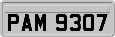 PAM9307