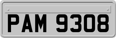 PAM9308
