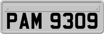 PAM9309