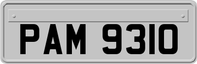 PAM9310