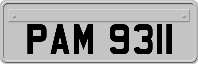 PAM9311