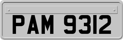 PAM9312