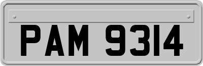 PAM9314