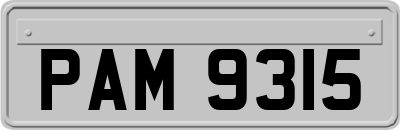 PAM9315