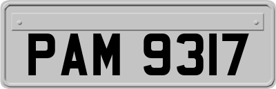 PAM9317