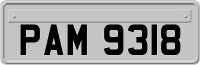 PAM9318