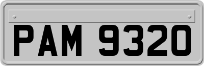 PAM9320