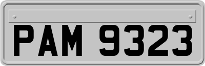 PAM9323