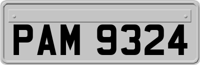 PAM9324