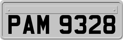 PAM9328