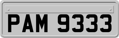 PAM9333