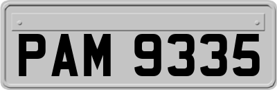 PAM9335