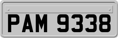 PAM9338