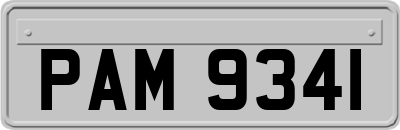 PAM9341