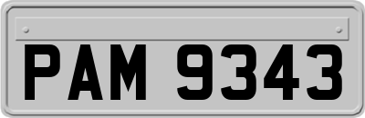 PAM9343