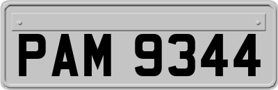 PAM9344