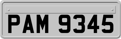 PAM9345