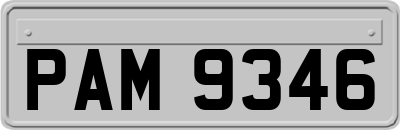 PAM9346
