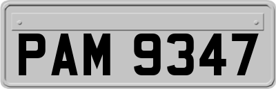 PAM9347