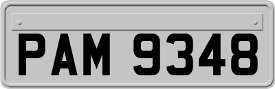 PAM9348