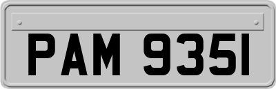 PAM9351