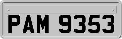 PAM9353