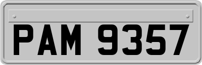 PAM9357