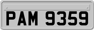 PAM9359