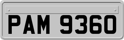 PAM9360