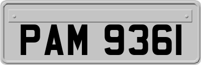 PAM9361