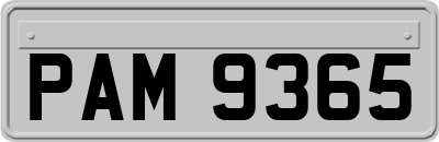 PAM9365