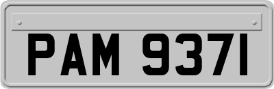 PAM9371
