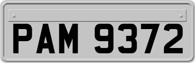 PAM9372