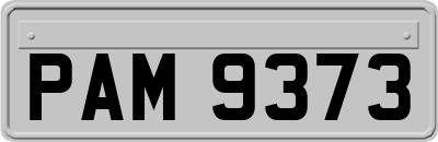 PAM9373