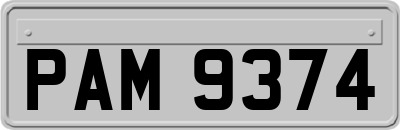 PAM9374