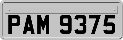 PAM9375