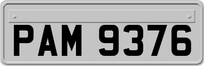 PAM9376