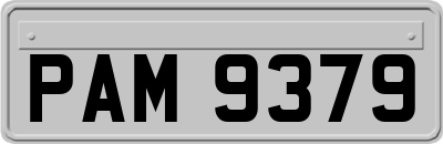 PAM9379