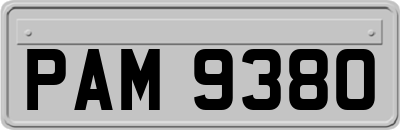 PAM9380