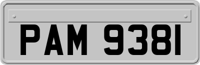 PAM9381