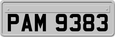 PAM9383