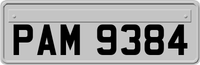PAM9384