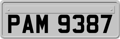 PAM9387