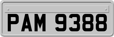 PAM9388