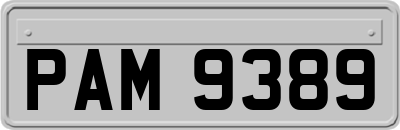 PAM9389