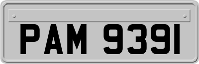 PAM9391
