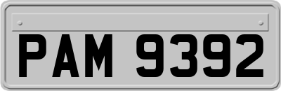 PAM9392